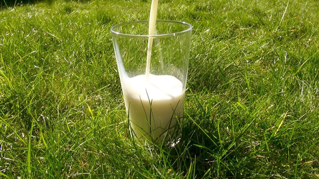 В молоке, продаваемом в магазинах, содержится казеин А1, который в организме превращается в пептид бета-казоморфин 7. 