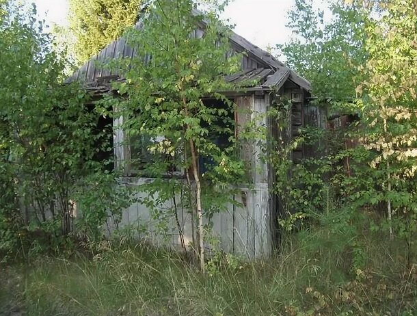 Фото esosedi.org