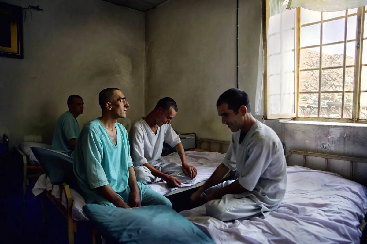 Фото Яндекс Картинки