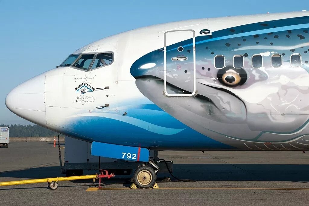 Грузовой самолет. Воздушные суда. Оформление воздушных судов. Оформление воздушных судов. Необычные пассажирские самолеты.