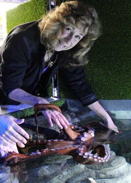 Сай Монтгомери общается с осьминогом. Источник: Newtonew