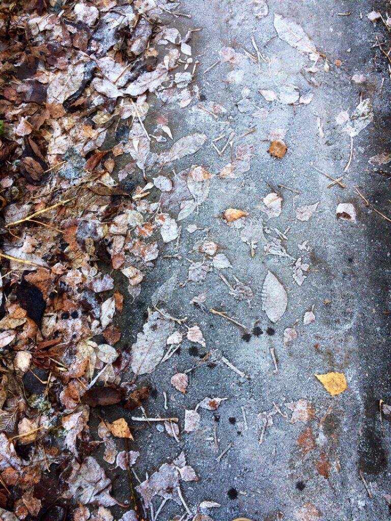 Зима замещает осень