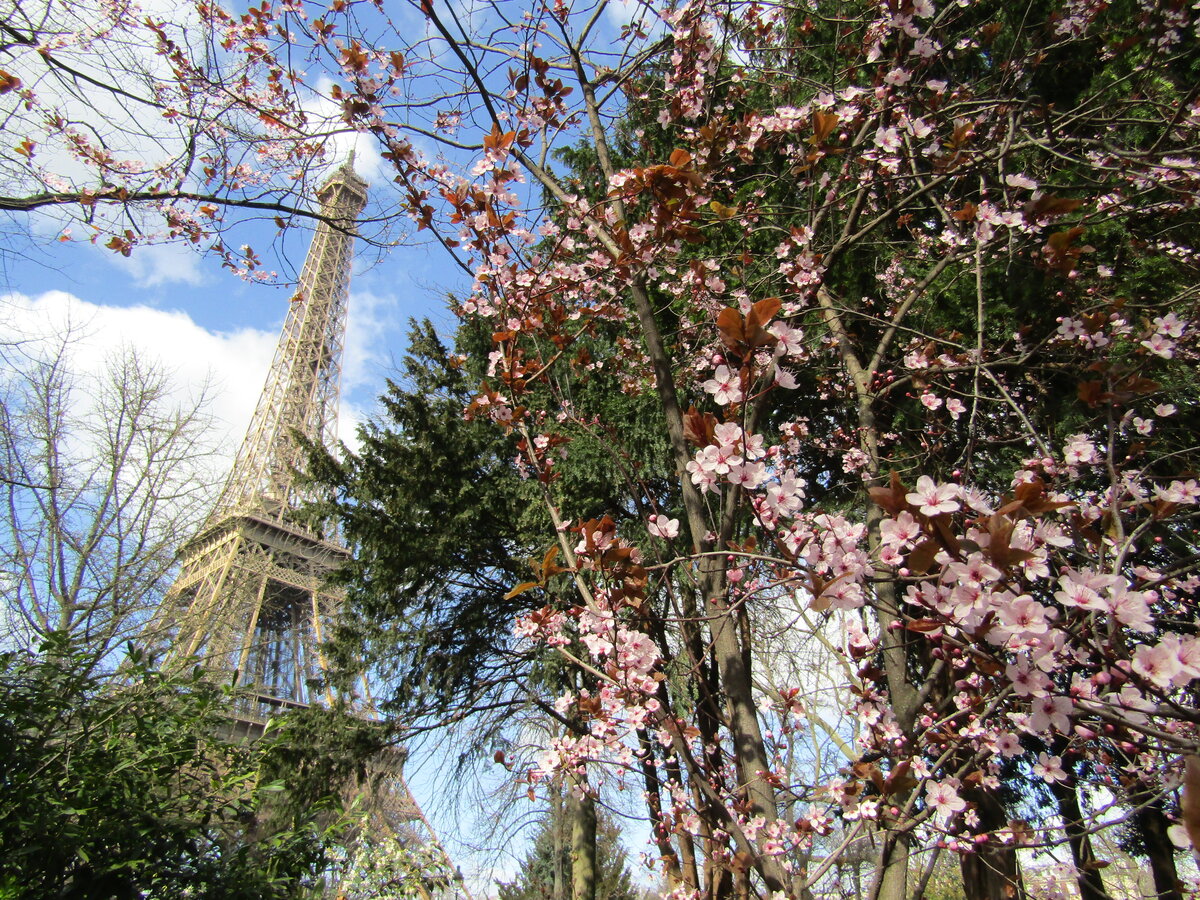 Париж в марте