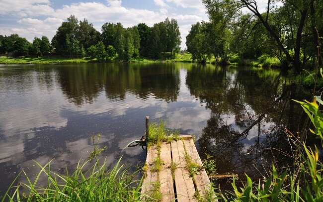 Маленькая рыбешка — погибель хороших водоемов. Или куда пропали караси