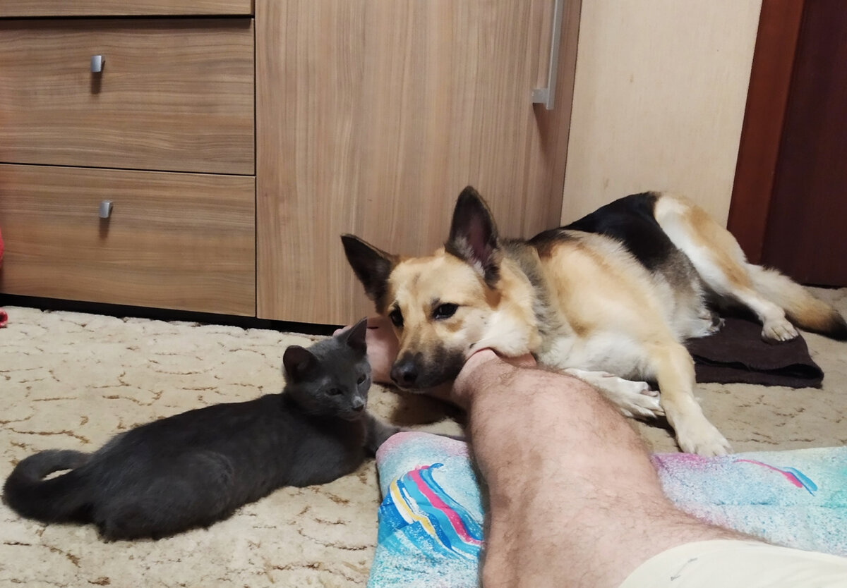 Валяемся все вместе. Фото из личного архива.