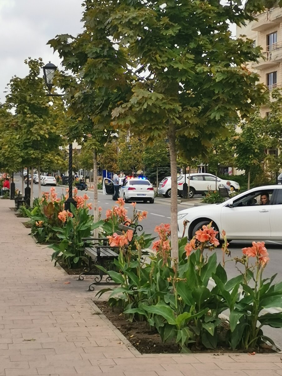 Анапа солнечных дней в году. Солнечный город Анапа. Солнечный Анапа Тургенева 185. Анапа дзен.