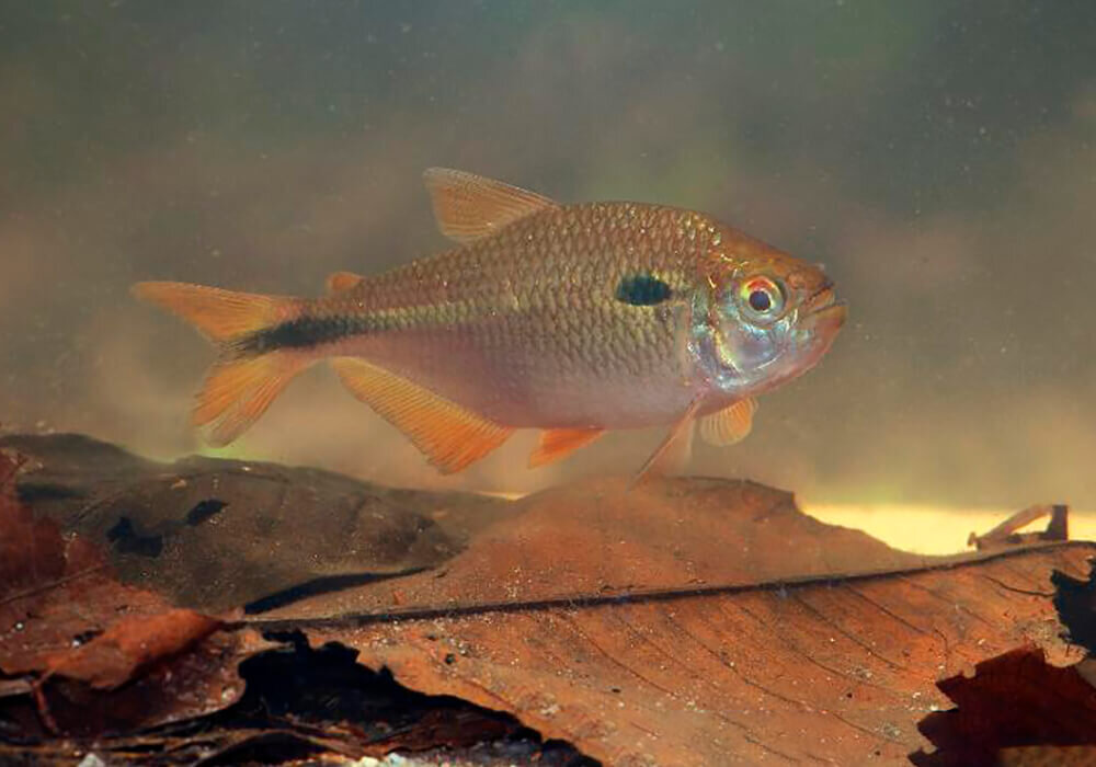 Источник: Яндекс.Картинки