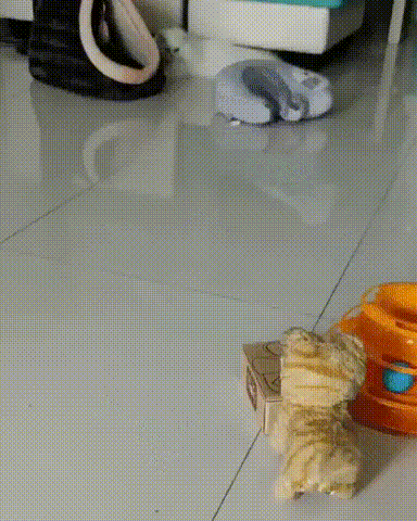 Люди! Перед Вами последняя секретная разработка -" КОТОЗАВР 3000". Этот робот будет функционировать в эпицентре боев и снабжать наших котиков провизией для успешного выполнения заданий. Пока что испытания проходят в тестовом режиме, но уже есть первые заказы на поступление в Генеральный Штаб КОТОГЕН.