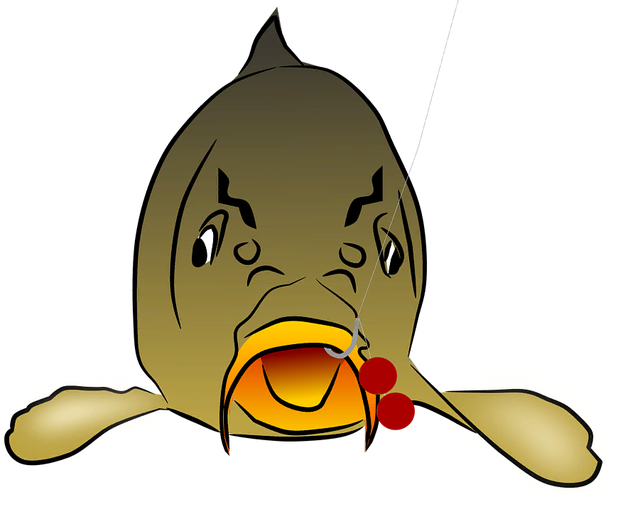 Фото из открытого источника