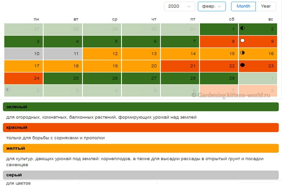 февраль 2020 год