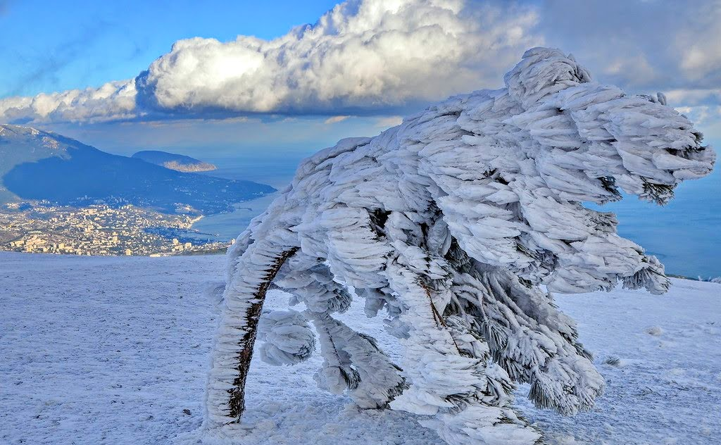 Отдых в крыму зимой. Ай Петри Крым зима. Ай Петри Крым зимой. Ветра на ай Петри. Горы в Ялте зимой.