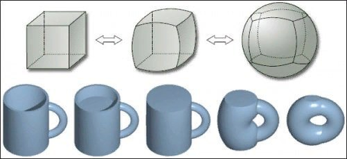 Гомеоморфизм. Куб мы растягиваем в шар, а кружку – в бублик (сперва растягиваем дно, затем сжимаем кружку до размеров ручки)