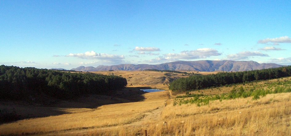  Фото: Wikimedia.org
