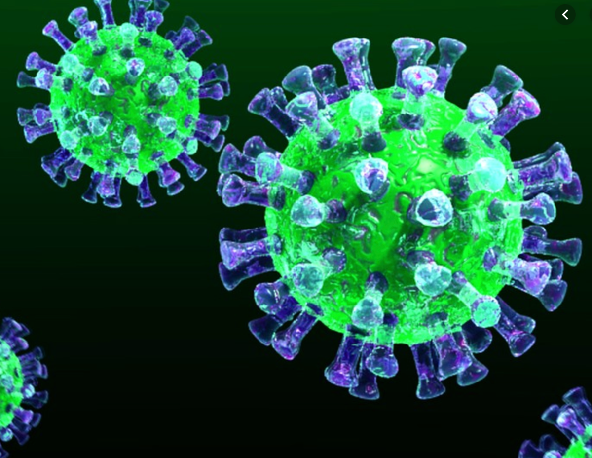   Несмотря на то что количество заболевших и умерших от коронавируса растет с каждым днем, специфических способов лечения и профилактики пока нет.