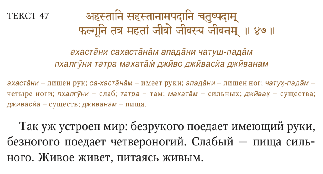 ШРИМАД БХАГАВАТА ПУРАНА. КНИГА ПЕРВАЯ. Глава 13. Дхритараштра покидает дом