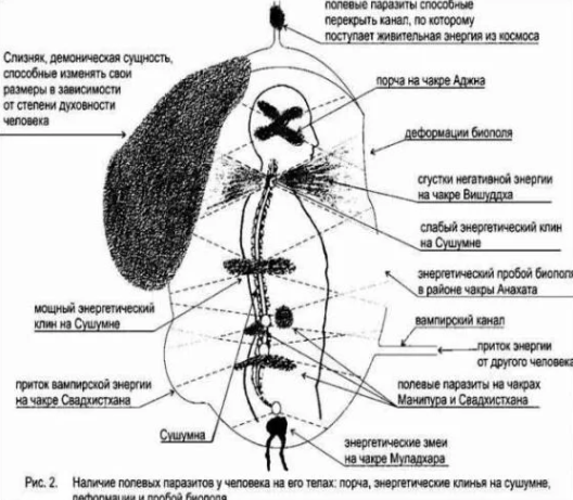 Сущности виды фото