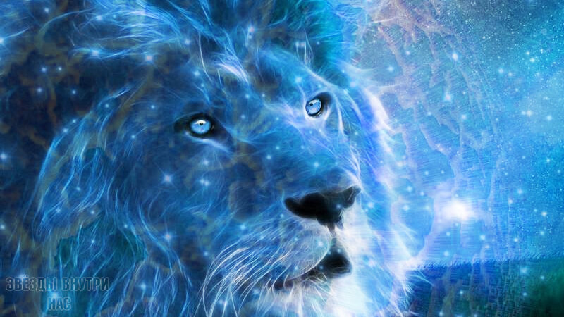                                                                              Знак зодиака - Лев.