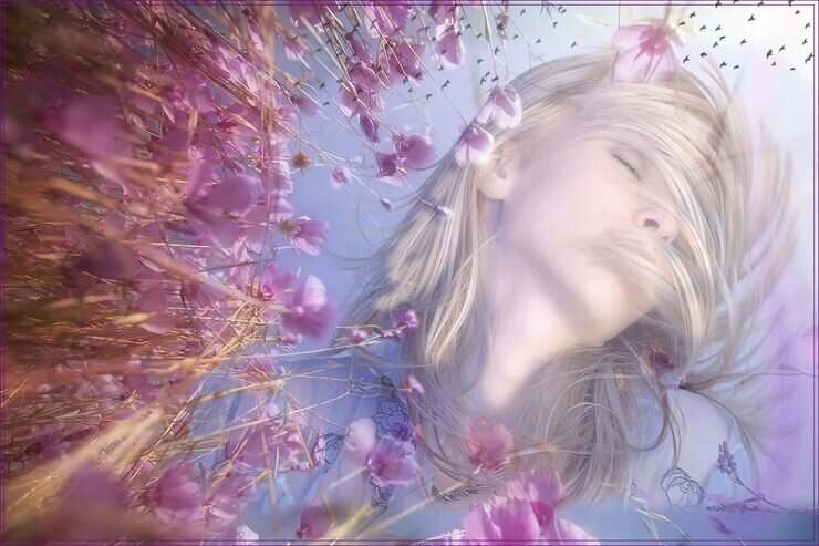 Источник яндекс картинки