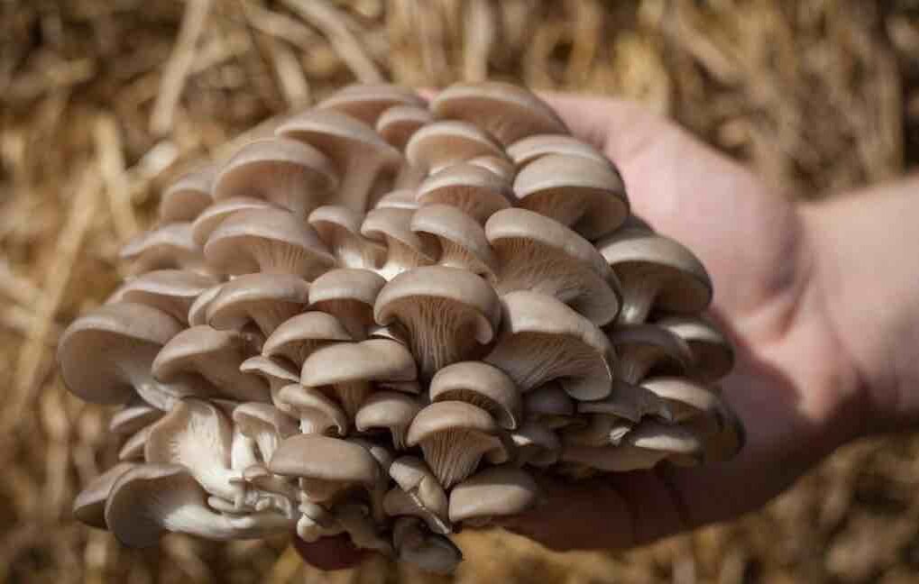 Фотография взята из открытых источников.