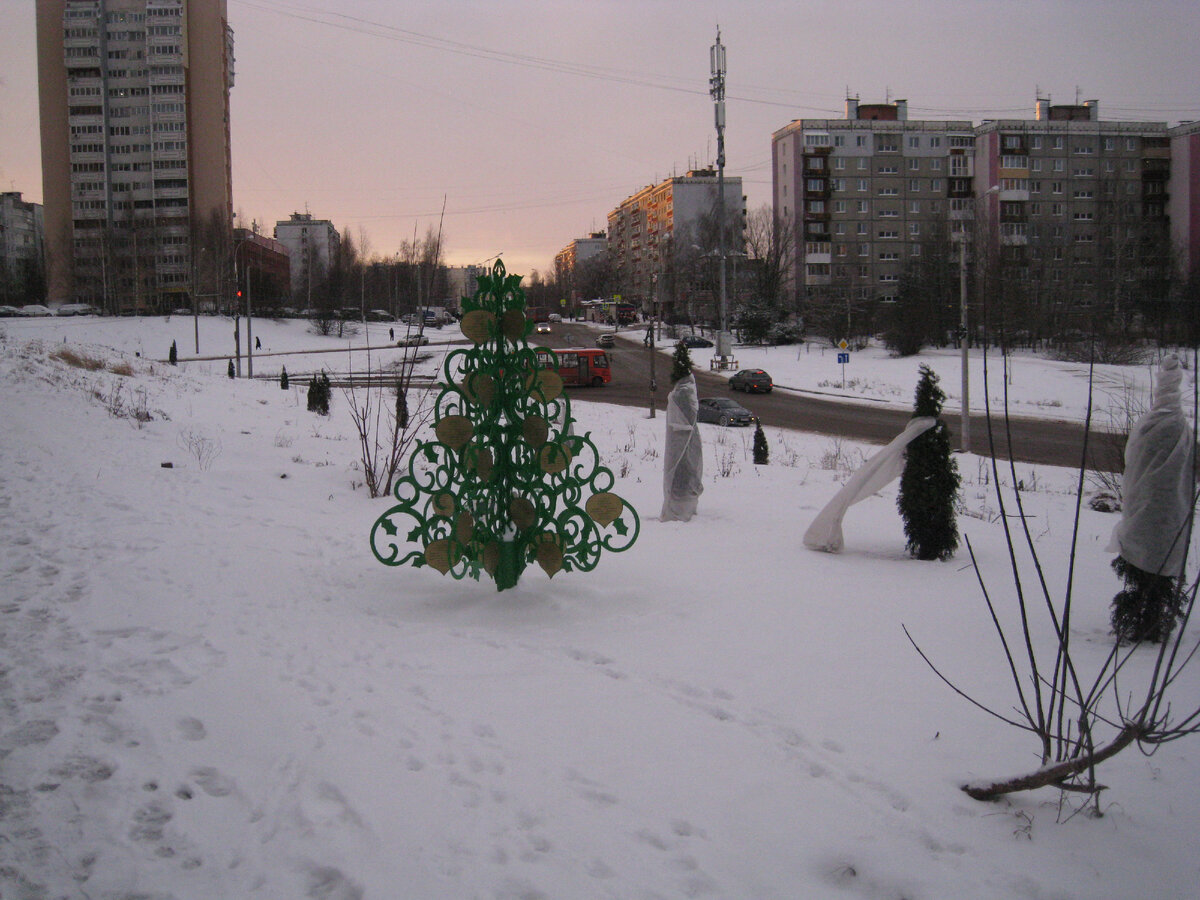 Фото сквера зимой 2019 г. Люди сами посадили туи и поставили искусственную ель.