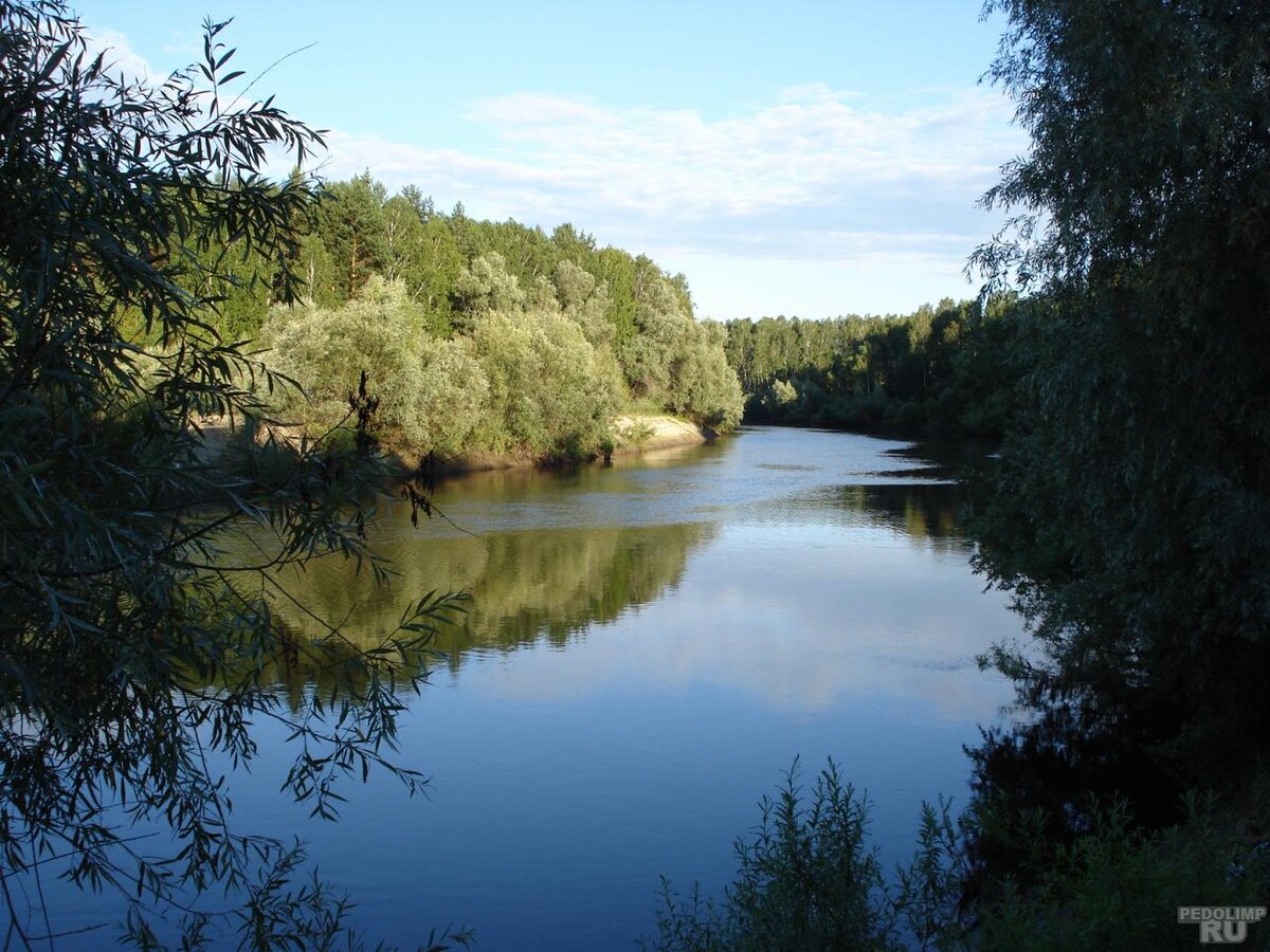 Муромцевский район река тара