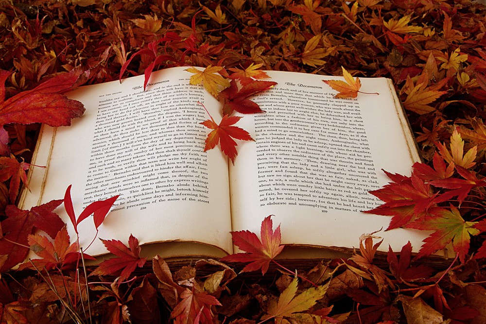 Осенняя поэзия. Книги про осень. Книга и осенние листья. Осенняя книга. Осень в литературе.