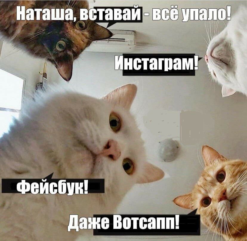 Один из мемов, гуляющих в инете, по данному поводу
