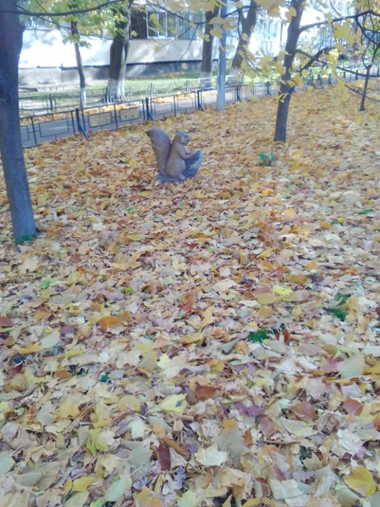 Белочка в сквере