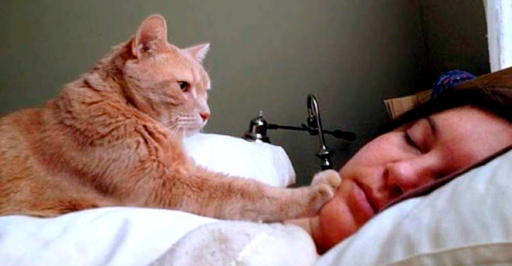 Не даёт спать по ночам