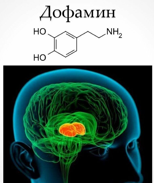 Рисунок из интернета: https://www.psychologos.ru/