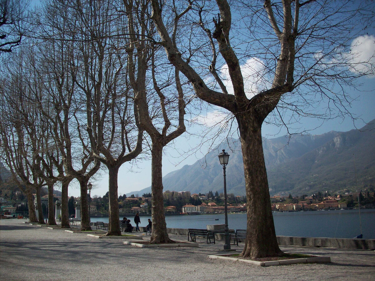 https://upload.wikimedia.org/wikipedia/commons/0/0b/View_of_Lake_Como_from_Lecco.jpg