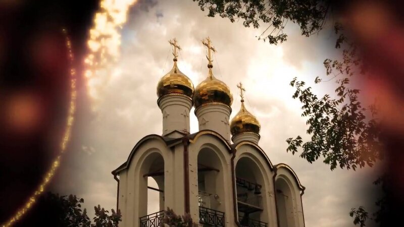 взято из свободных источников 