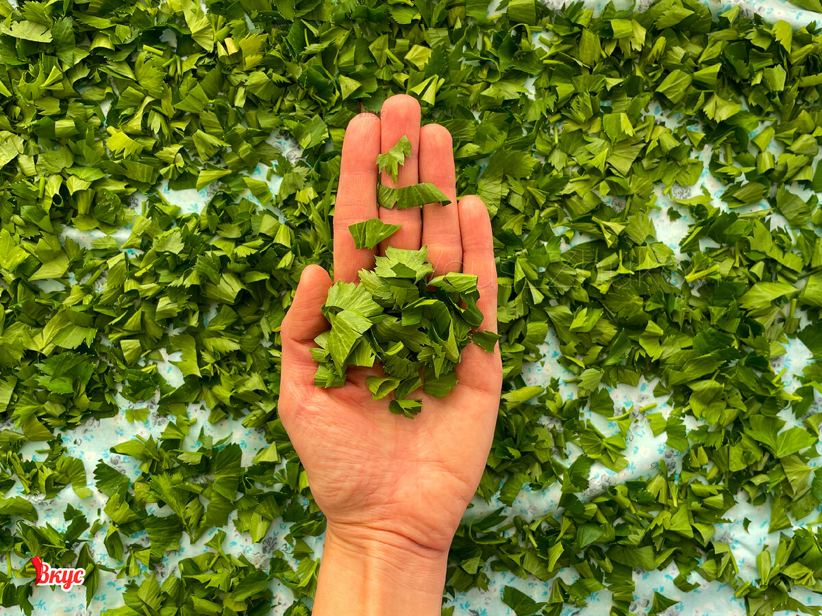 Домашняя заготовка зелени на зиму