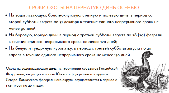 Сроки проведения охоты на пернатую дичь осенью 2022