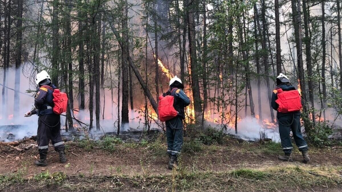    Ликвидация лесного пожара на территории ЯкутииCC BY 4.0 / ГУ МЧС России по Республике Саха (Якутия) /