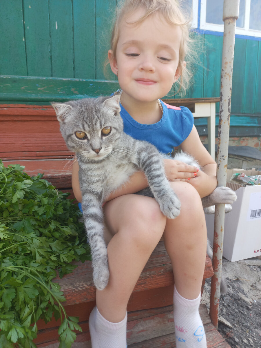 И как всегда мои помощники со мной👩🏼😼