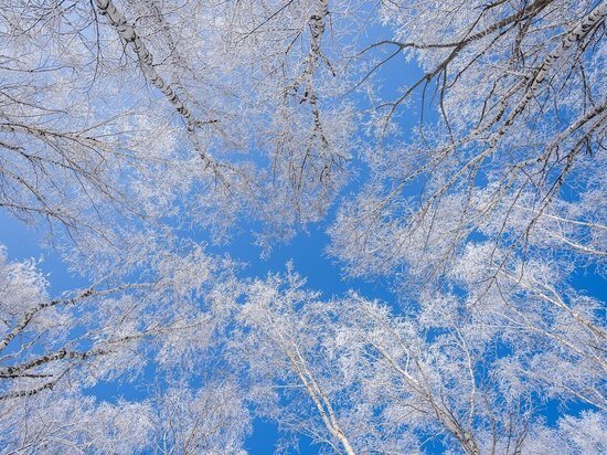     Фото: ru.freepik.com