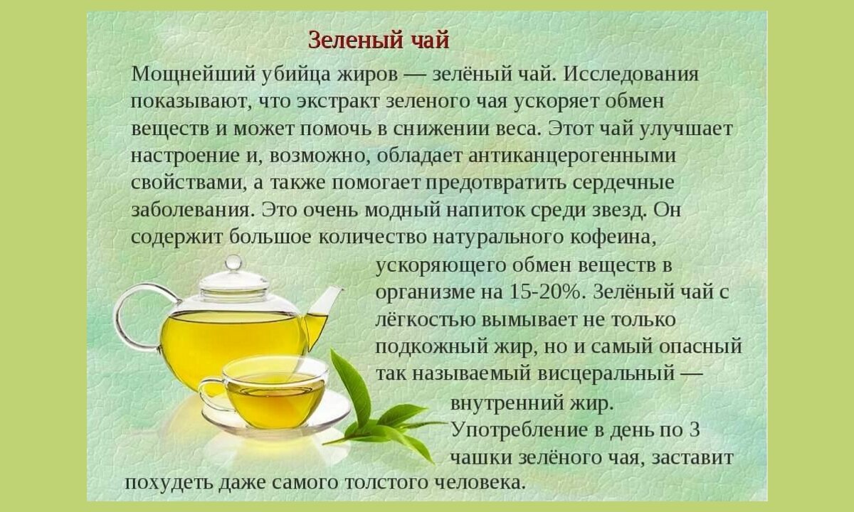 Зеленый чай мочегонный или нет