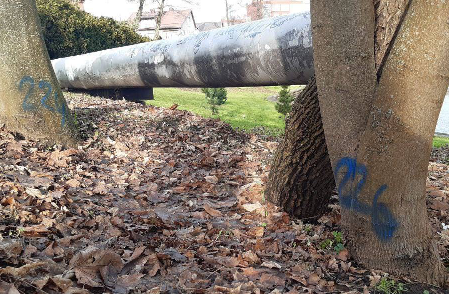 Фото: телеграм-канал Елены Дятловой