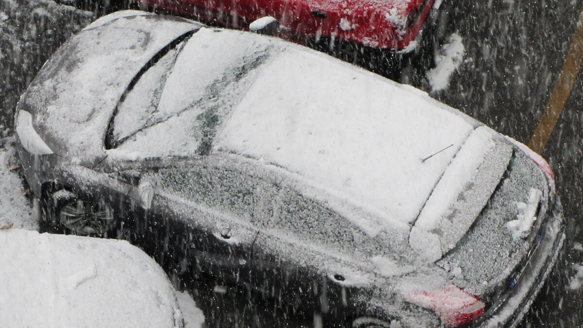     После мощного ливня утром 10 августа на Ростов также обрушился град размером с грецкий орех, фото с ним публикуют в соцсетях местные жители.