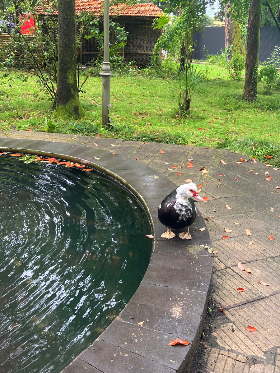 фото из личной галереи