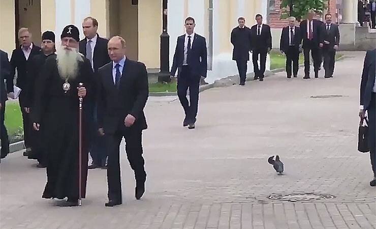 Из утечки , рядовой "голубь", агент кремля.