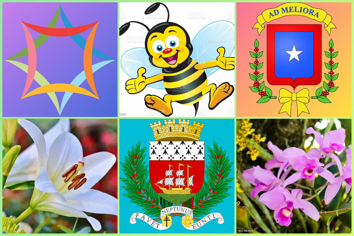 Города мира