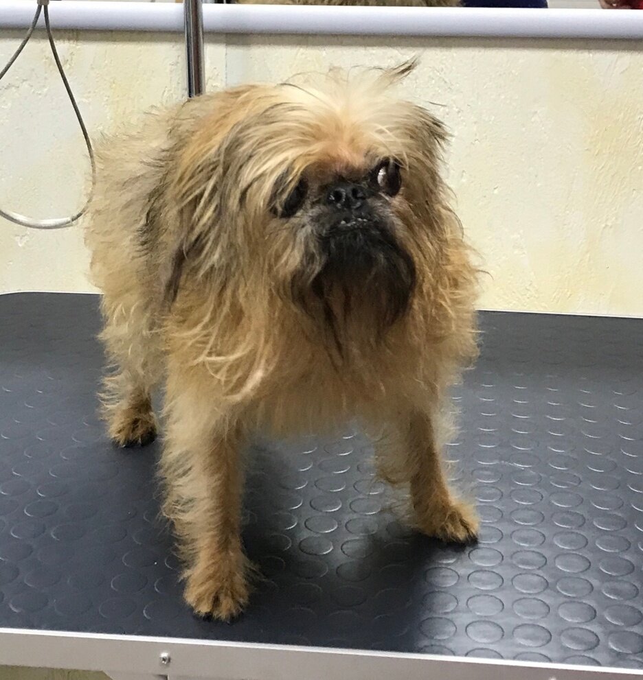 Викулишна. 16 лет