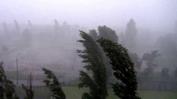 Источник фото: 61.mchs.gov.ru