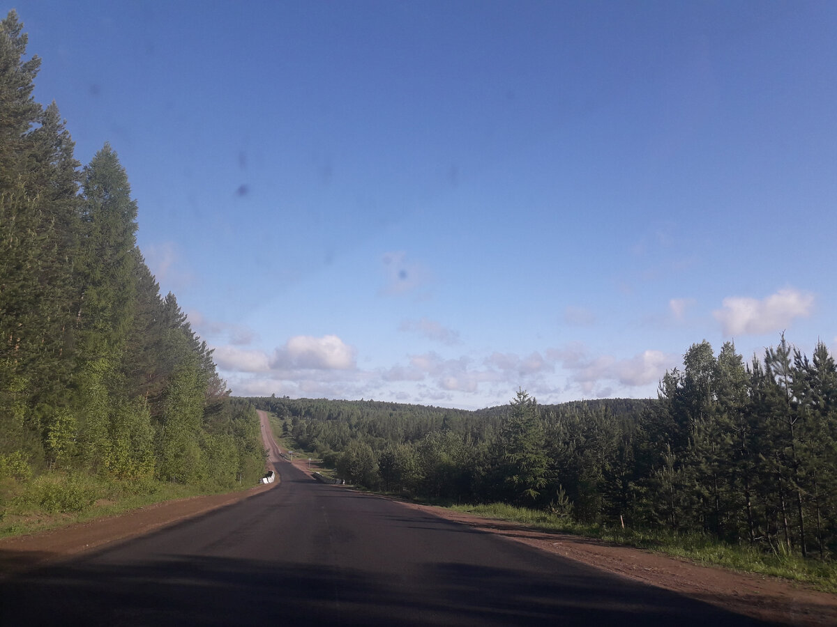 Дорога летом