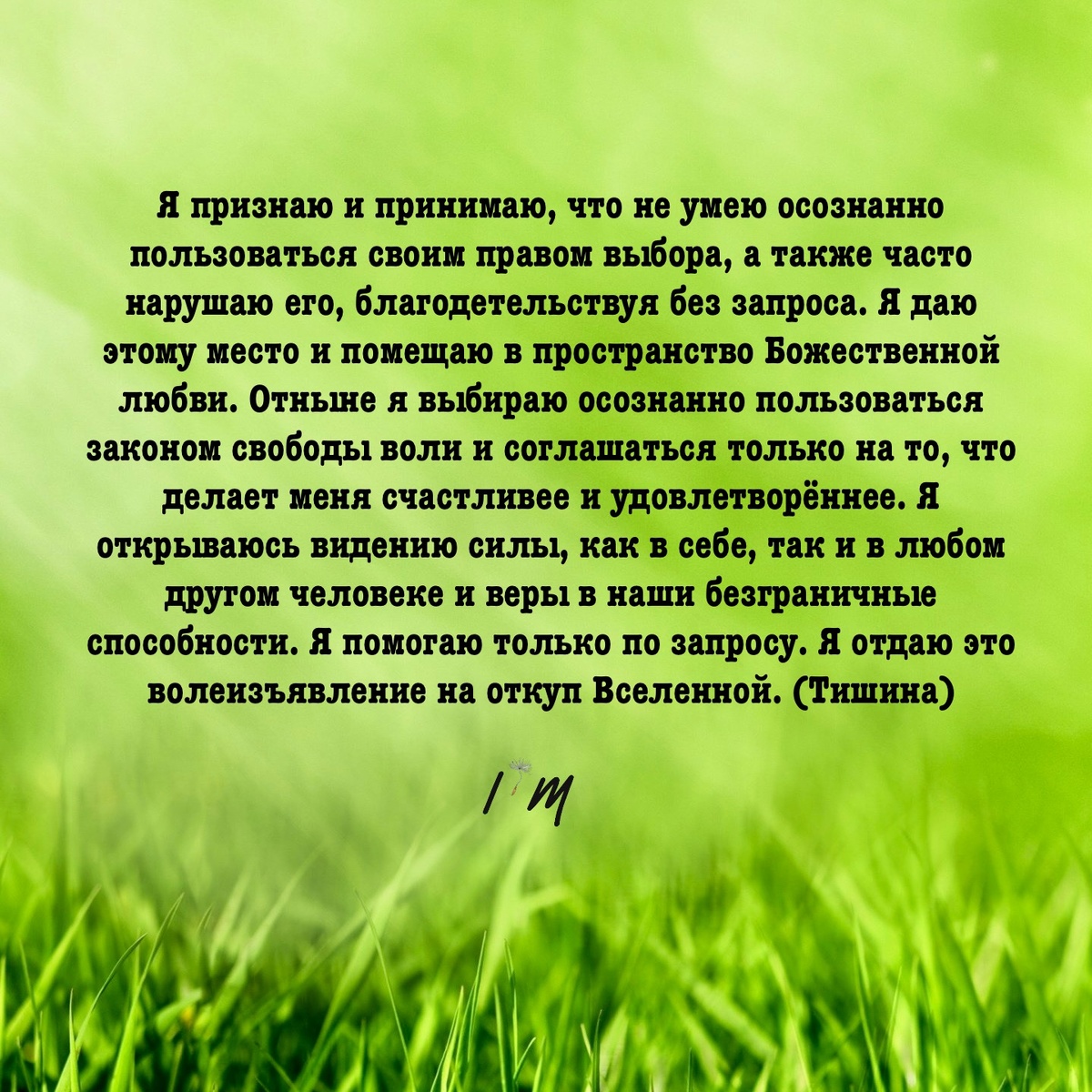 Авторский настрой 
