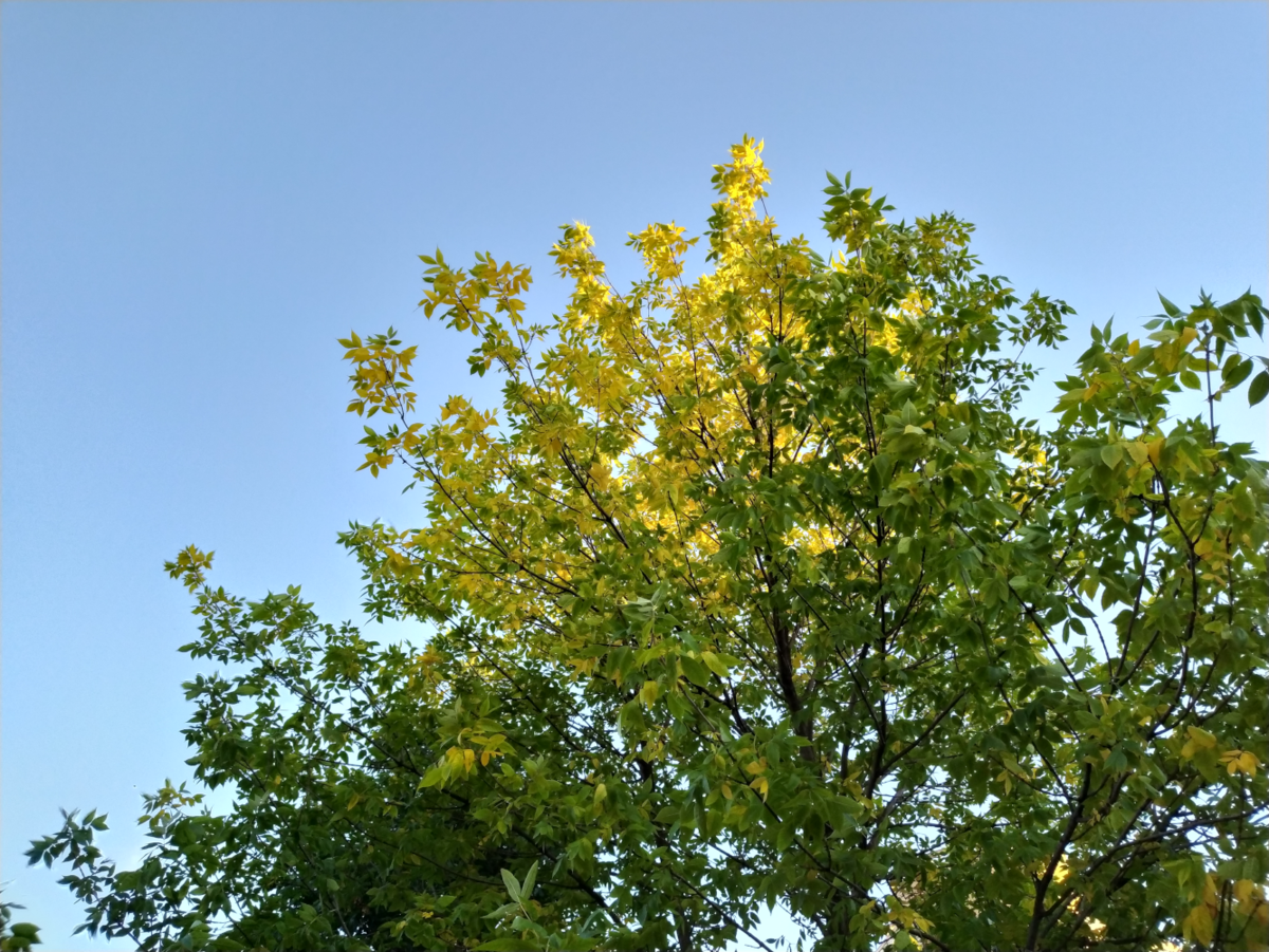 Небо над головой на четвёртой неделе марафона (сентябрь)