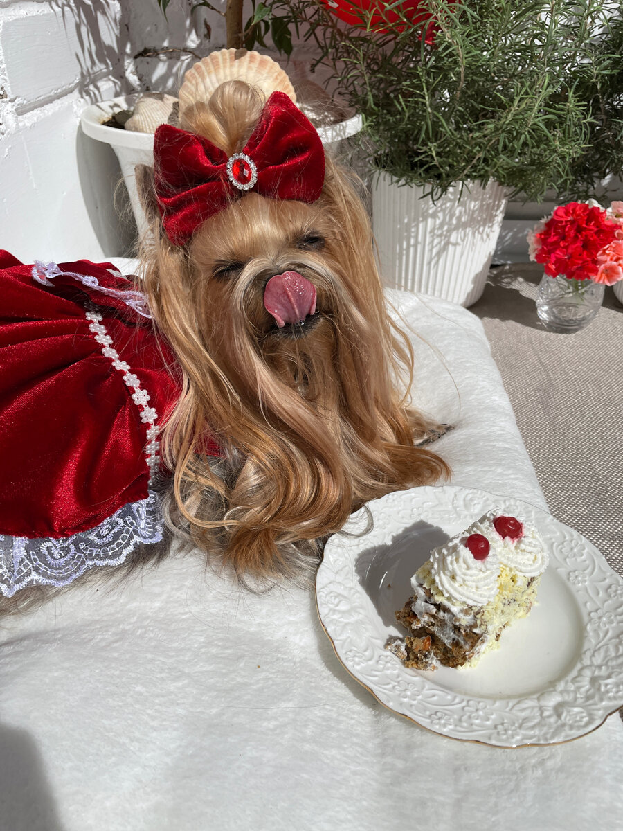 Фото автора . 