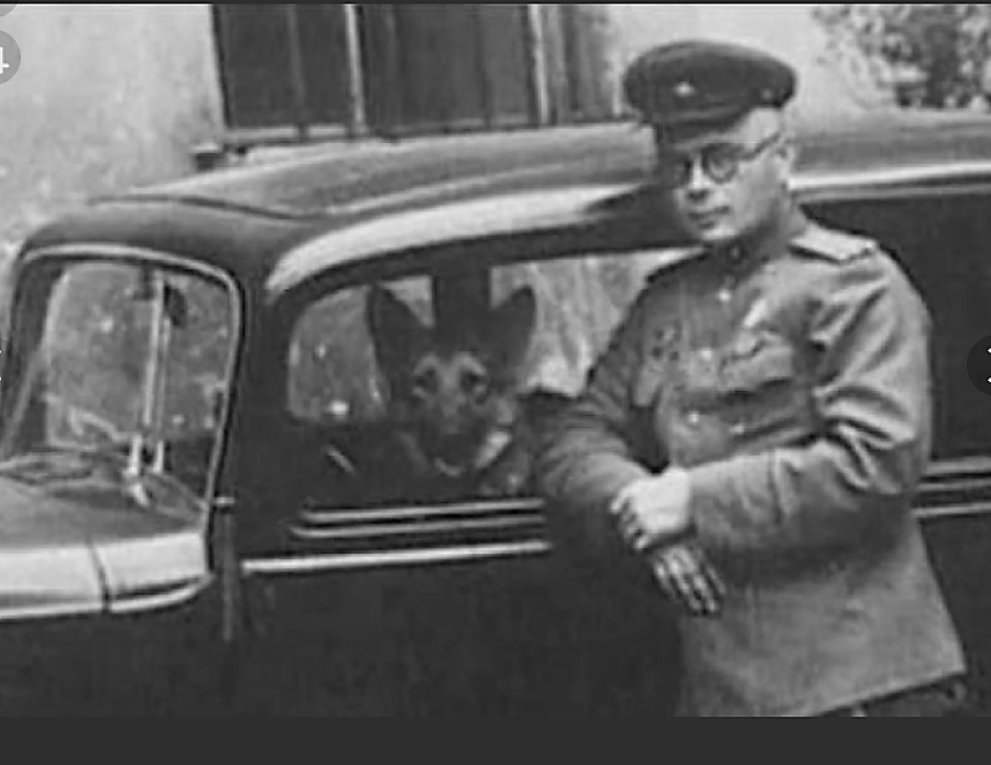 Николай Павленко